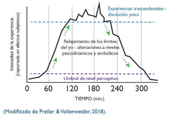Curva de intensidad subjetiva durante una sesión con psilocibina